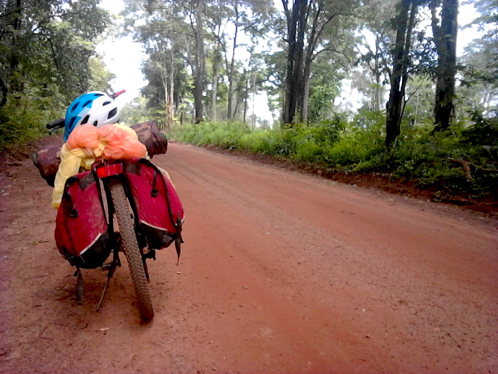 Dirt road through the jungle near Stung Treng, Cambodia, Into Foreign Lands