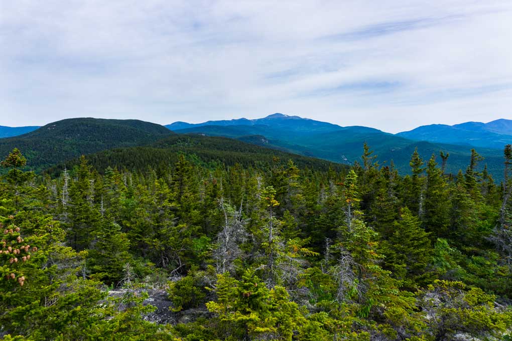 View of Mt. Washington from Mt. Parker